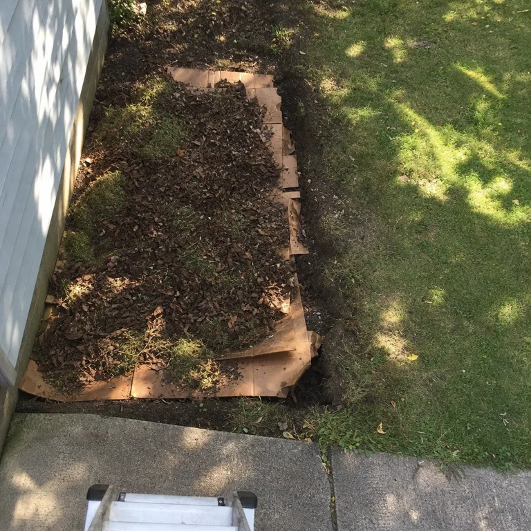 A small lawn section being turned into a mulched starter garden bed.