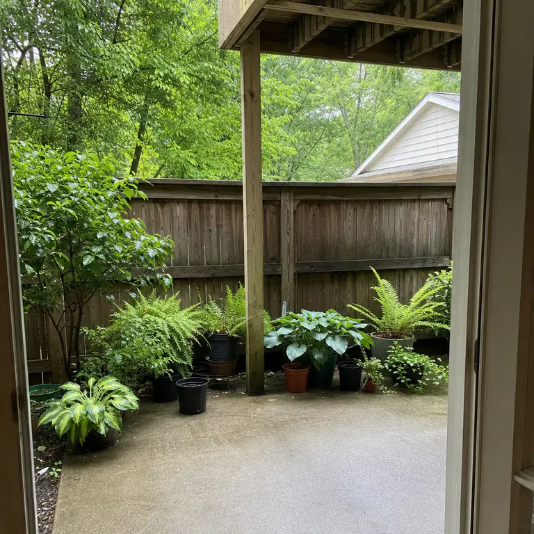 A shaded patio corner with grouped containers of leafy green plants.