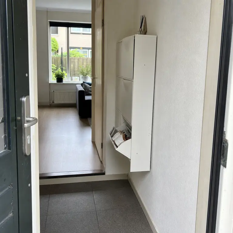 Slim wall-mounted flip-down shoe cabinet holding everyday shoes in a narrow apartment entry.