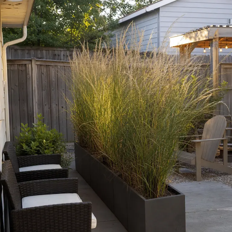 Tall ornamental grasses in a rectangular planter provide privacy at a patio edge.